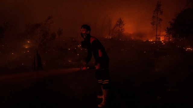 Seorang petugas pemadam kebakaran memadamkan api di lahan gambut dan hutan yang terbakar di taman nasional Sebangau pada tanggal 14 September 2019 di pinggiran kota Palangkaraya, Kalimantan Tengah, Indonesia. Foto: Getty Images/Ulet Ifansasti