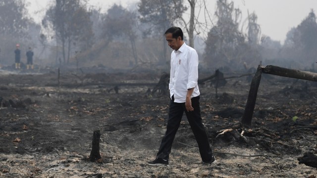 Ekosistem Lingkungan Afsel Urutan 1 Terkritis Sedunia, Indonesia Nomor Berapa? (71738)