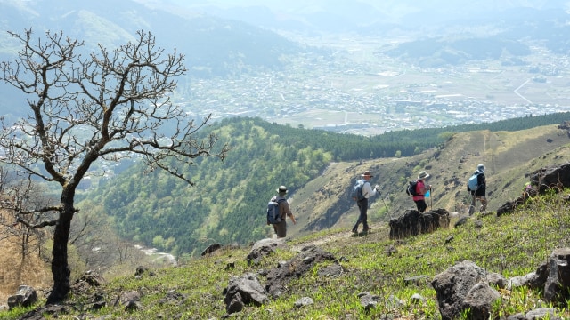 Berjalan menyusuri Gunung Yufu-dake, salah satu kegiatan saat Kunisaki Trek di Jepang Foto: Dok. Walk Japan