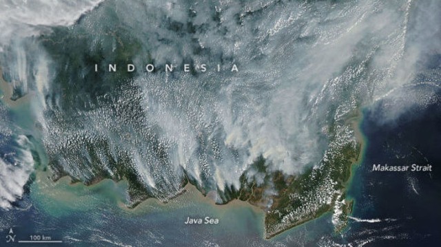 Gambar satelit NASA menangkap parahnya kabut asap di Kalimantan. Foto: MODIS/NASA via NASA Earth Observatory.