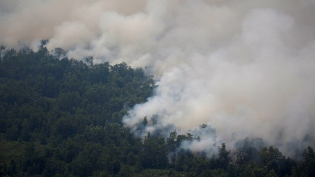 Suasana kebakaran hutan di Palangka Raya, Kalimantan Tengah. Foto: Reuters/Willy Kurniawan