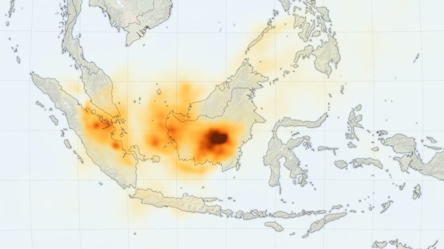 Gambar keberadaan karbon organik di langit Indonesia akibat asap karhutla. Foto: NASA Earth Observatory.