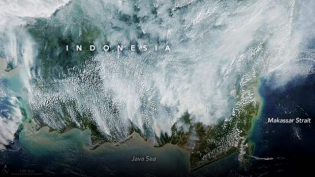 Gambar satelit NASA menangkap parahnya kabut asap di Kalimantan (Foto: MODIS/NASA via NASA Earth Observatory)
