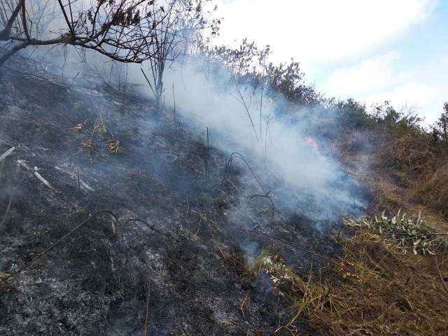 Kebakaran di Gunung Merbabu Foto: Dok.Balai Taman Nasional Gunung Merbabu