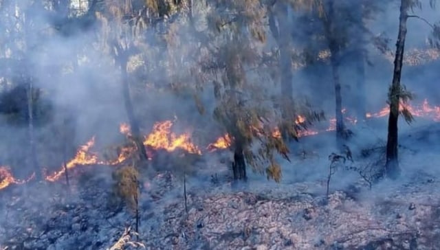 Jalur Pendakian Gunung Semeru Ditutup Akibat Hutan Terbakar