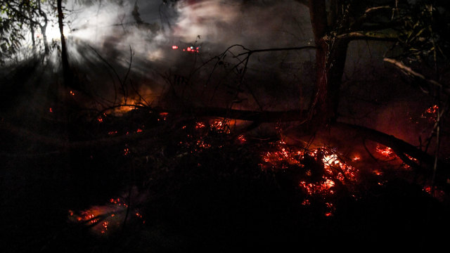 Bara api terlihat di lahan yang terbakar di daerah Sebangau, Palangka Raya, Kalimantan Tengah, Selasa (17/9/2019). Foto: ANTARA FOTO/Hafidz Mubarak A