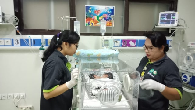 Tim Ahli dari Surabaya Bakal Tangani Bayi Kembar Siam di RSUP Sanglah