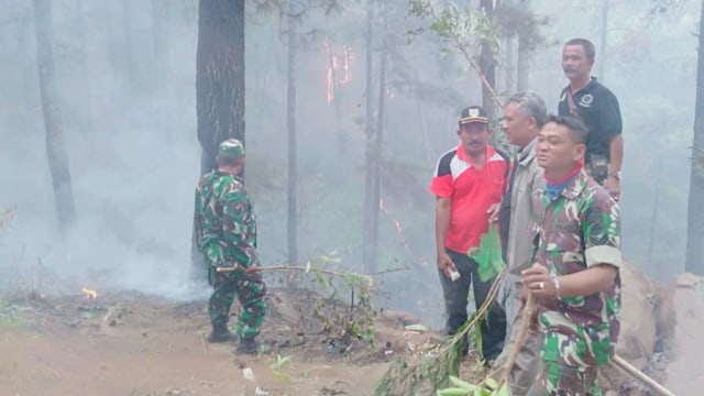1 Hektare Lahan Hutan di Bantarkawung, Brebes, Terbakar (734884)