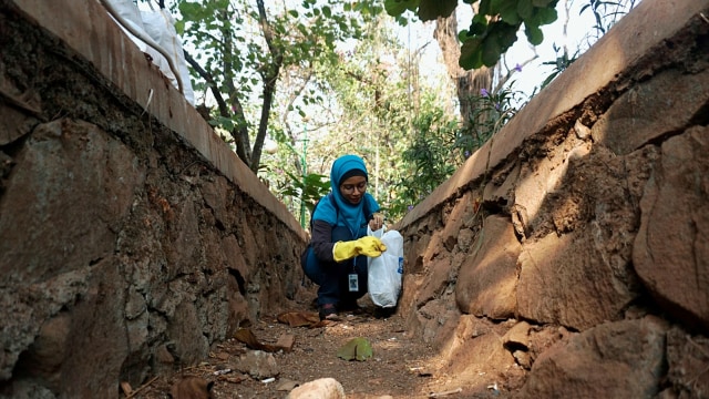 Foto: Ramai-Ramai Memungut Sampah di Hutan Kota Bekasi (54508)