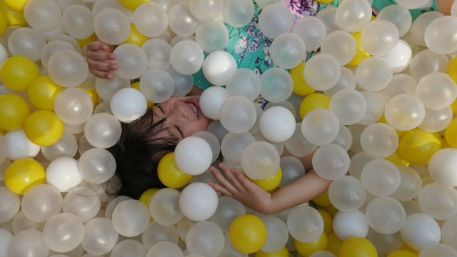 Foto: Pameran Produk Halo Organik (86816)