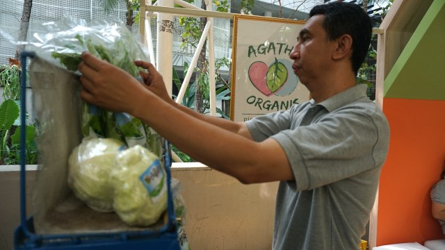 Foto: Pameran Produk Halo Organik (86809)