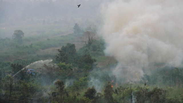 KEBAKARAN LAHAN DI PERBATASAN KOTA BANJARMASIN