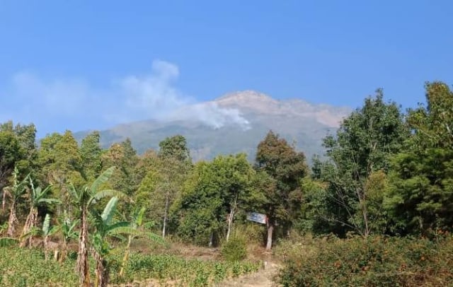 Hutan Gunung Sumbing di wilayah Kabupaten Temanggung terbakar, Minggu (22/9). Foto: ari.