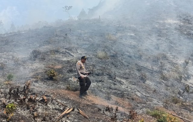 Kebakaran hutan di Dusun Nahel, Desa Amahusu, Kecamatan Nusaniwe, Minggu (22/9) (Foto: ambonnesia)