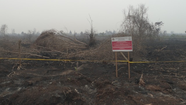LIPSUS, DARURAT ASAP, Asap karhutla di Riau.