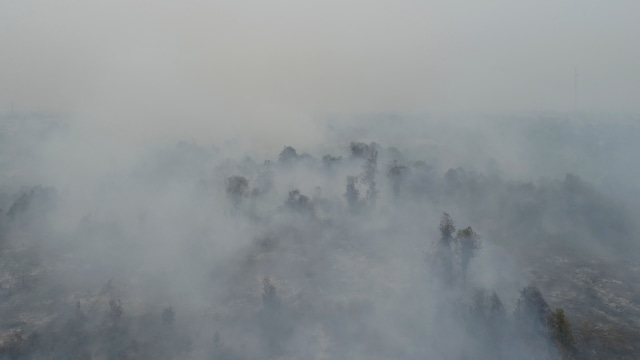 LIPSUS, Asap karhutla di Riau