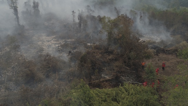 Petugas berusaha memadamkan kebakaran hutan dan lahan di Riau. Foto: Faiz Zulfikar/kumparan