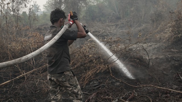 LIPSUS, Asap karhutla di Riau