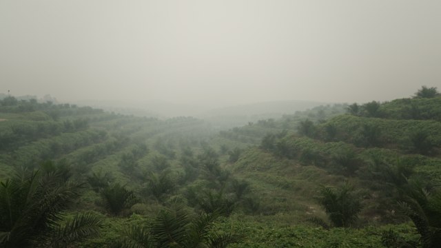 LIPSUS, Asap karhutla di Riau
