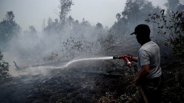 Proses pemadaman kebakaran hutan dan lahan di Riau. Foto: Faiz Zulfikar/kumparan