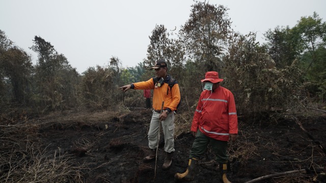 Proses pemadaman kebakaran hutan dan lahan di Riau. Foto: Faiz Zulfikar/kumparan