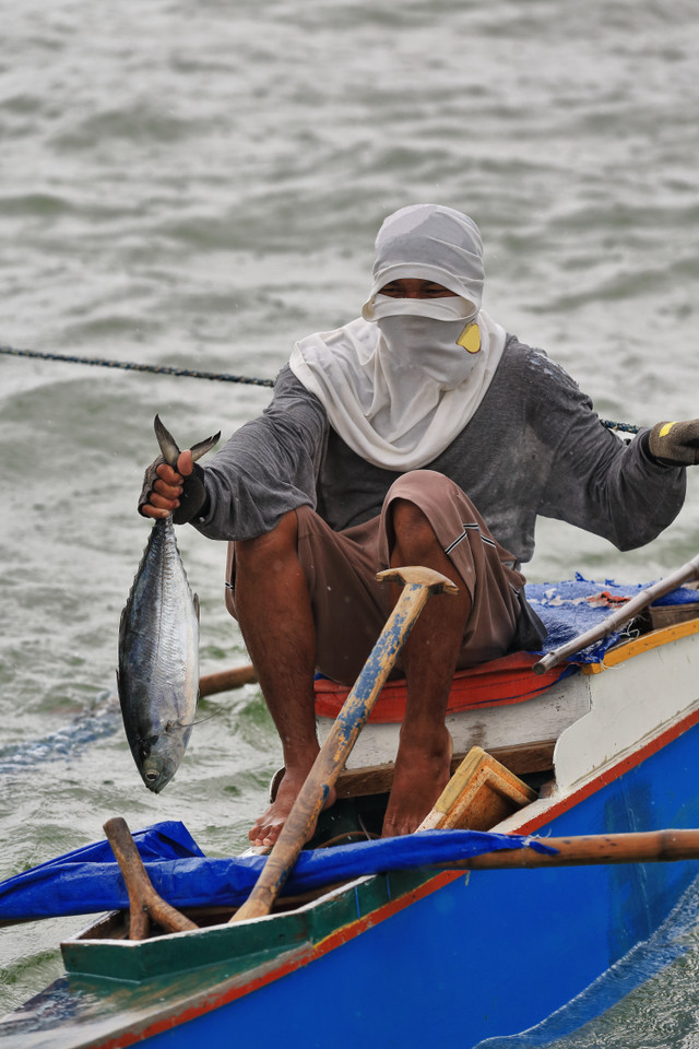 Ilustrasi: Nelayan menunjukkan ikan salem atau Pacific Mackerel. Foto: Shutter Stock