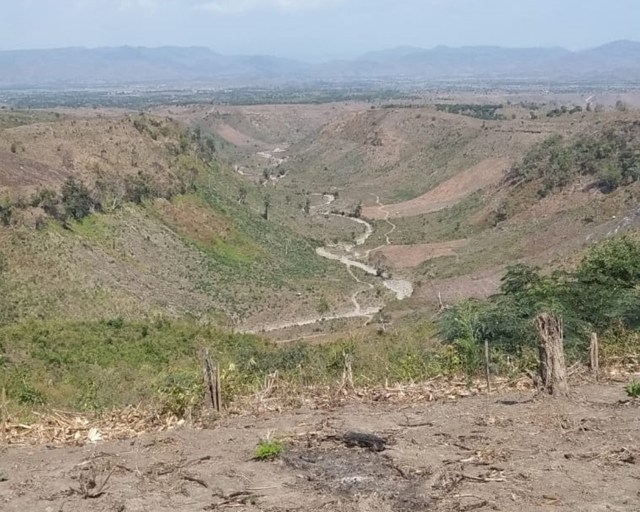 Kerusakan hutan di Dompu. Foto: Cheric