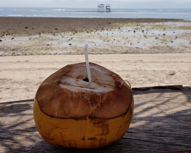 Kelapa muda yang bisa dinikmati di pesisir pantai Lakey. Foto: Info Dompu