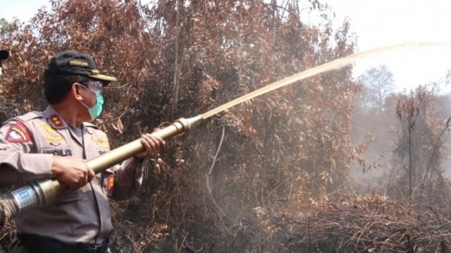 Kapolda Jambi Irjen Pol Muchlis AS memadamkan api karhutla. Foto: ist