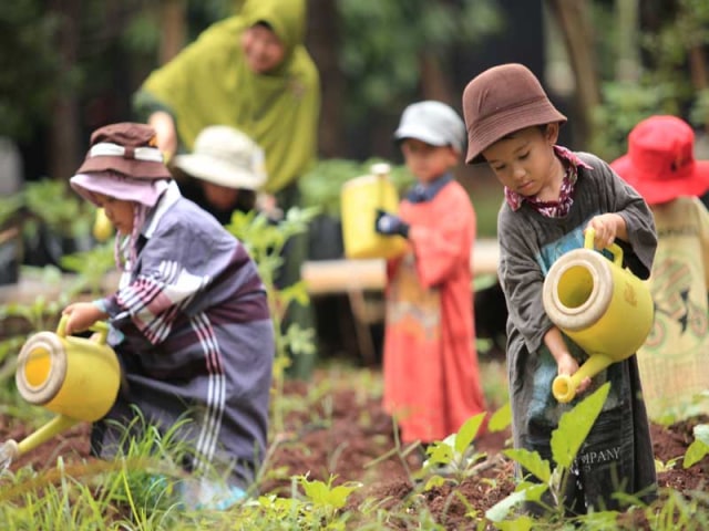 Sekolah Alam, Metode Pendidikan yang Fokus pada Kreativitas Anak (29458)