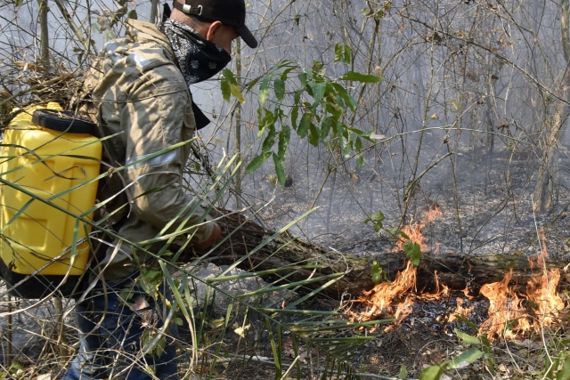 Petugas berupaya memadamkan kebakaran hutan di Bolivia. Foto: AFP