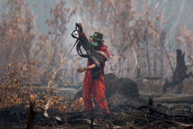 Pengendalian dan Pemadaman Karhutla di TN Sebangau, Kalimantan Tengah. Foto: TN Sebangau