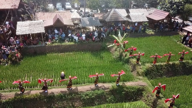 50 Penari Tari Jejer Gandrung Tengah Sawah Waroeng Kemarang @Photo Cak Wer