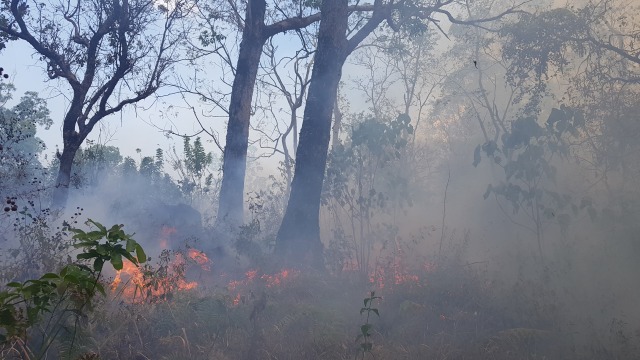 Kebakaran di area Hutan Lindung Egon Ilin Medo pada Senin pagi (30/9). Foto: Mario WP Sina/florespedia.