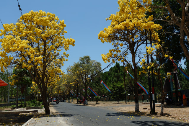 DSCF2280.JPG.jpg