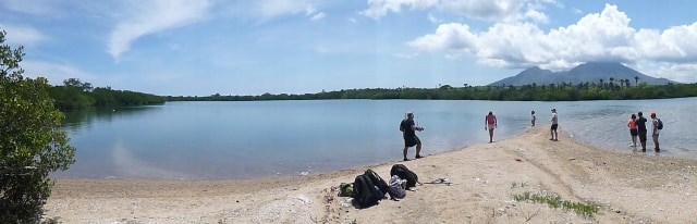 Pantai Sijile dengan latar belakang Gunung Baluran. Foto: Harley Sastha