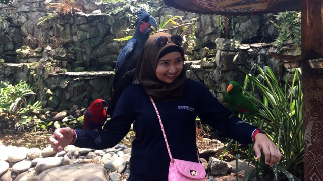 Ancol Segera Miliki Taman Burung Terbesar di Indonesia (1299150)