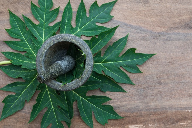 Daun pepaya