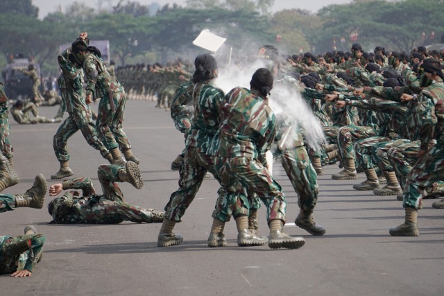 Gladi HUT 74 TNI, Lanud Halim Perdanakusuma, Aksi bela diri prajurit TNI