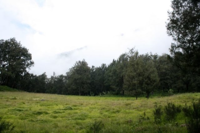 Lembah Kijang, tempat istirahat pendaki, bagian dari alas Lali Jiwo. Lokasinya di tengah bawah antara Arjuno-Welirang.