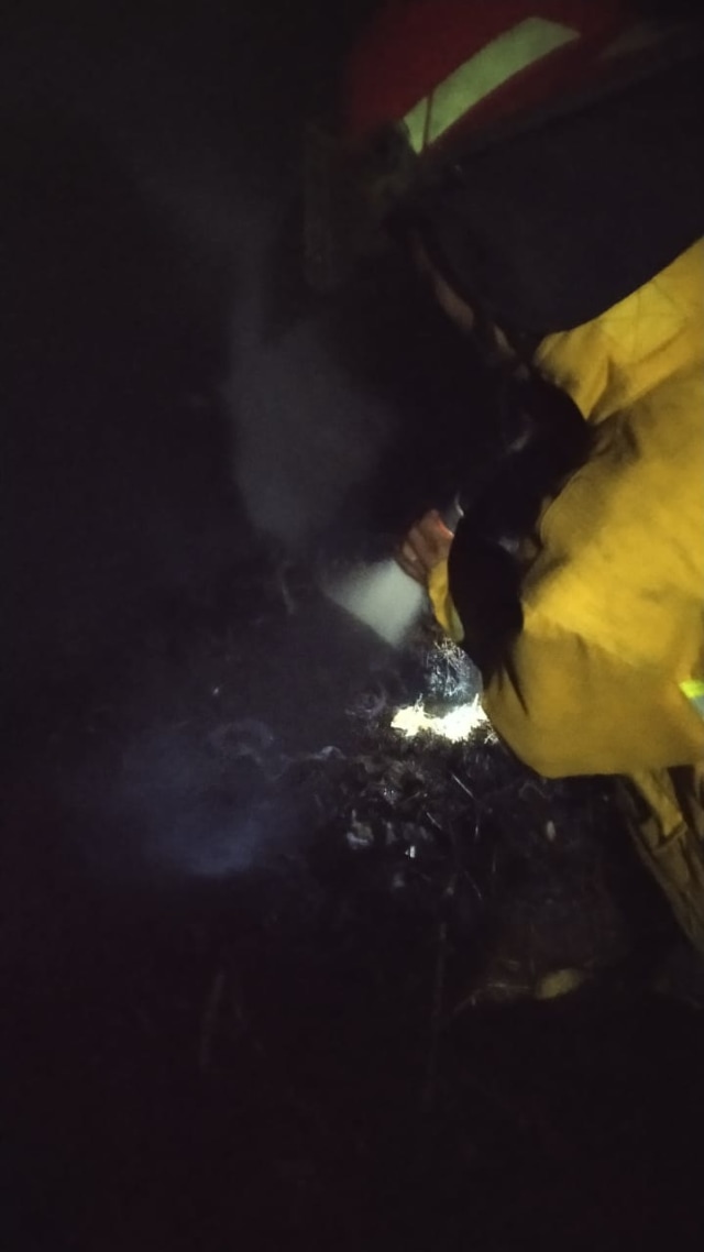 Lahan Gambut di Kaki Gunung Pangrango Terbakar (17608)