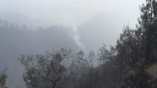 Kebakaran Hutan Gunung Bromo Capai 10 Hektare