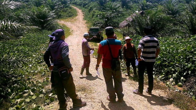 Suasana di lokasi perkebunan sawit di Kecamatan Bongomeme. Sabtu, (05/10). Foto : Dok Banthayo,id