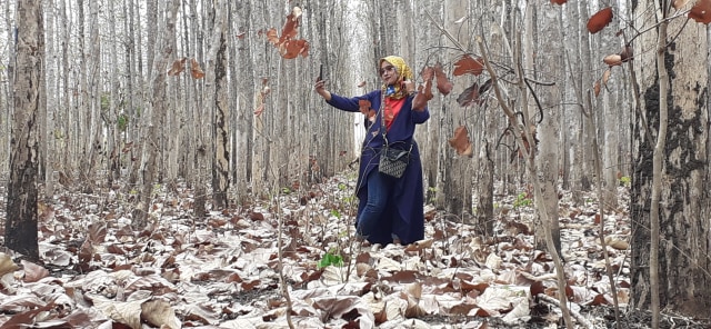 Seorang pengunjung berfoto ala musim gugur di Hutan Jati Menggora. Foto: erl.