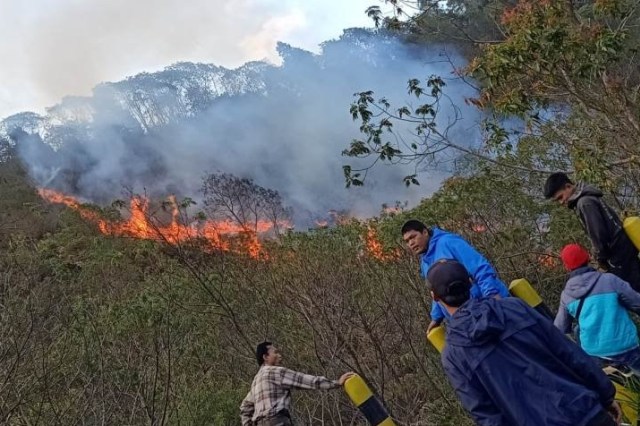 Kobaran api membakar kawasan hutan di Gunung Papandayan, Kabupaten Garut, Jawa Barat, Minggu (6/10/2019). Foto: Dok. BPBD Garut