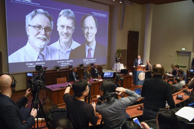 Pengumuman pemenang hadiah Nobel Fisiologi atau Kedokteran 2019. Foto: (Pontus Lundahl/TT via AP).