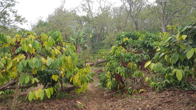 20190929_092904.jpg