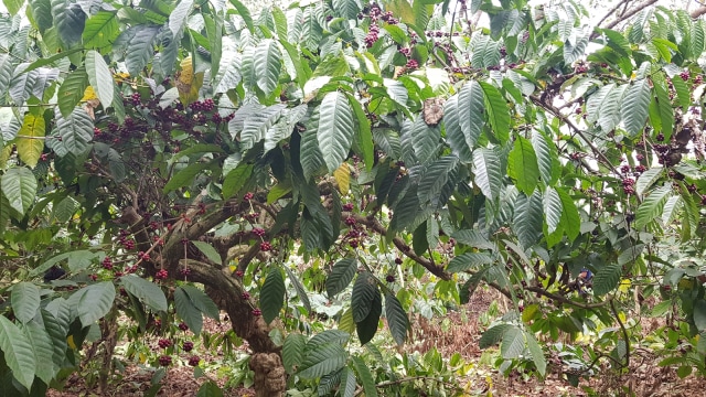 20190929_095252.jpg