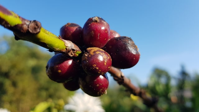 20190929_073329.jpg