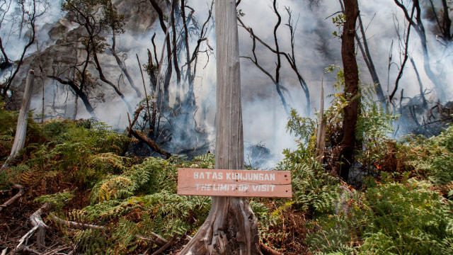 Kondisi hutan yang tertutup asap dari titik api yang membakar hutan tropis kawasan Taman Wisata Alam Kawah Putih Gunung Patuha, Kabupaten Bandung, Jawa Barat. Foto: ANTARA FOTO/Novrian Arbi